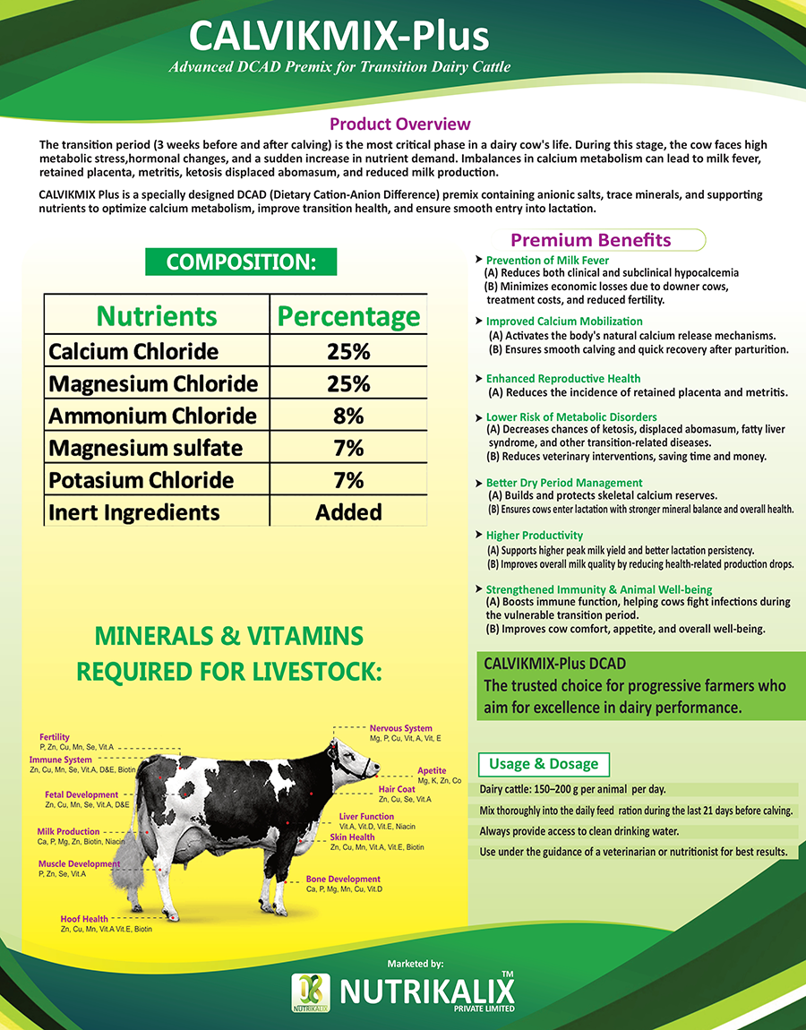 Calvikmix-plus – Advanced Dcad Premix for Transition Dairy Cattle - Nutrikalix Calvikmix Plus Dcad Supplement